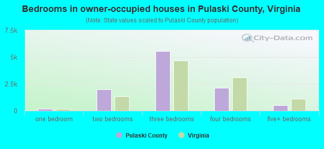 Bedrooms in owner-occupied houses in Pulaski County, Virginia