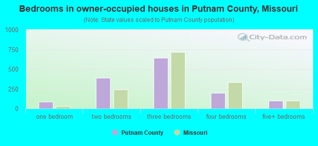 Bedrooms in owner-occupied houses in Putnam County, Missouri