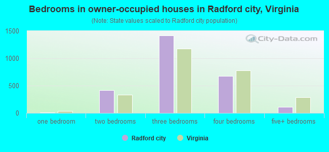 Bedrooms in owner-occupied houses in Radford city, Virginia
