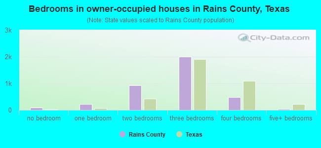 Bedrooms in owner-occupied houses in Rains County, Texas