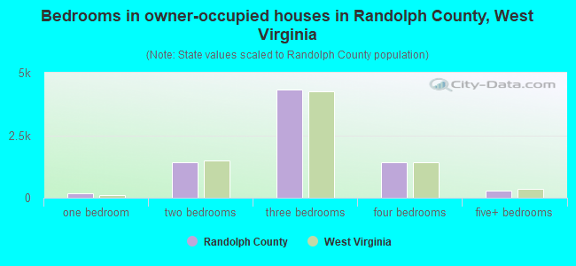 Bedrooms in owner-occupied houses in Randolph County, West Virginia
