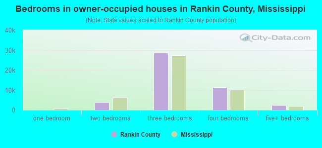 Bedrooms in owner-occupied houses in Rankin County, Mississippi