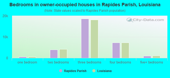 Bedrooms in owner-occupied houses in Rapides Parish, Louisiana