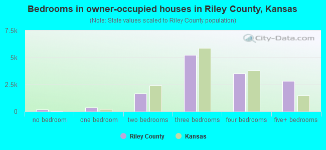 Bedrooms in owner-occupied houses in Riley County, Kansas
