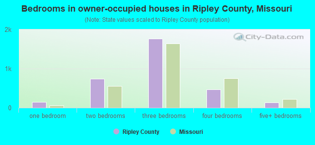 Bedrooms in owner-occupied houses in Ripley County, Missouri
