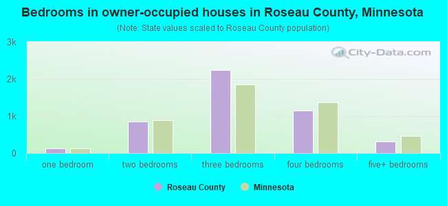 Bedrooms in owner-occupied houses in Roseau County, Minnesota