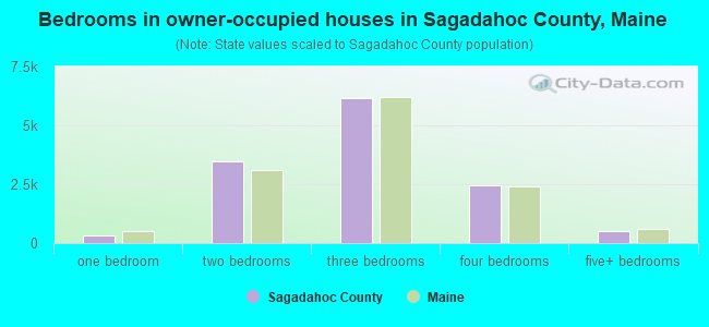Bedrooms in owner-occupied houses in Sagadahoc County, Maine