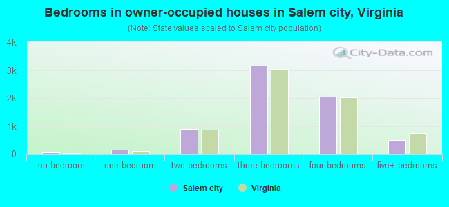 Bedrooms in owner-occupied houses in Salem city, Virginia