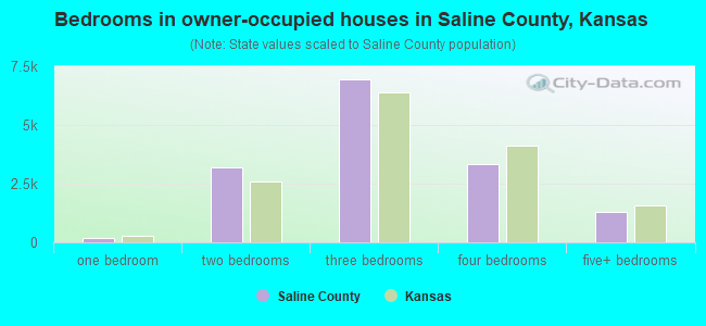 Bedrooms in owner-occupied houses in Saline County, Kansas