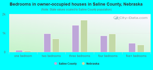 Bedrooms in owner-occupied houses in Saline County, Nebraska