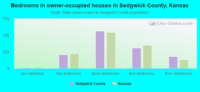 Bedrooms in owner-occupied houses in Sedgwick County, Kansas