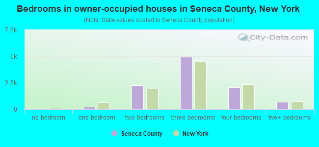Bedrooms in owner-occupied houses in Seneca County, New York