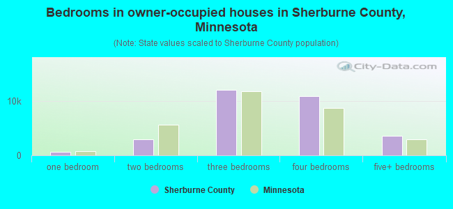 Bedrooms in owner-occupied houses in Sherburne County, Minnesota