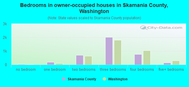 Bedrooms in owner-occupied houses in Skamania County, Washington