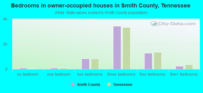 Bedrooms in owner-occupied houses in Smith County, Tennessee