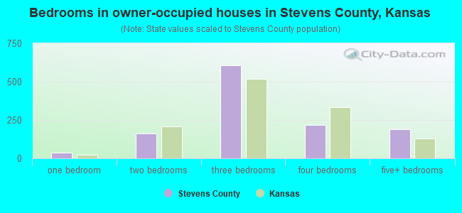 Bedrooms in owner-occupied houses in Stevens County, Kansas