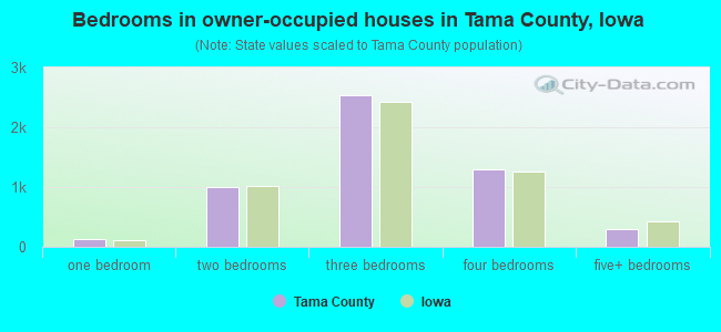 Bedrooms in owner-occupied houses in Tama County, Iowa