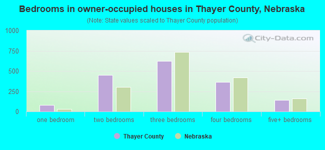 Bedrooms in owner-occupied houses in Thayer County, Nebraska