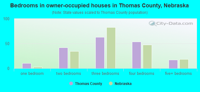 Bedrooms in owner-occupied houses in Thomas County, Nebraska
