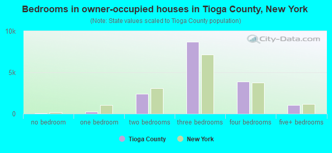Bedrooms in owner-occupied houses in Tioga County, New York