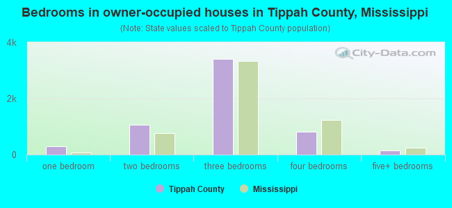Bedrooms in owner-occupied houses in Tippah County, Mississippi