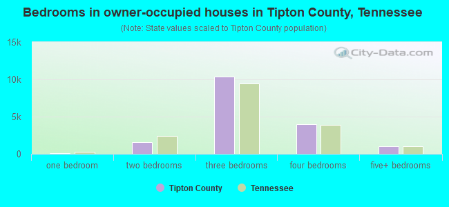 Bedrooms in owner-occupied houses in Tipton County, Tennessee