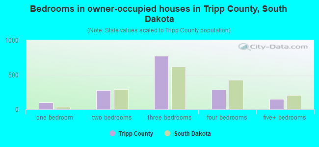 Bedrooms in owner-occupied houses in Tripp County, South Dakota