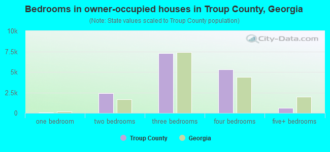 Bedrooms in owner-occupied houses in Troup County, Georgia