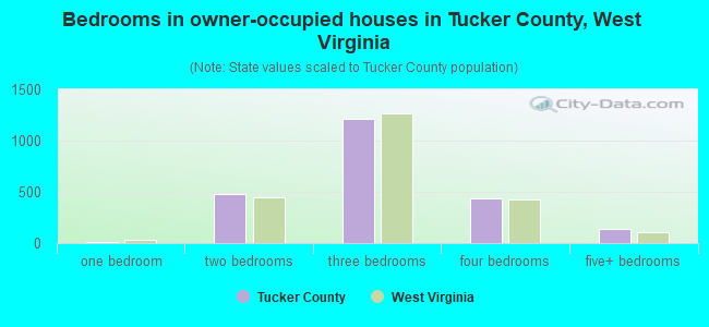 Bedrooms in owner-occupied houses in Tucker County, West Virginia