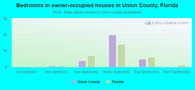 Bedrooms in owner-occupied houses in Union County, Florida