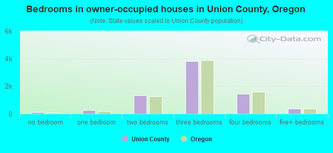 Bedrooms in owner-occupied houses in Union County, Oregon