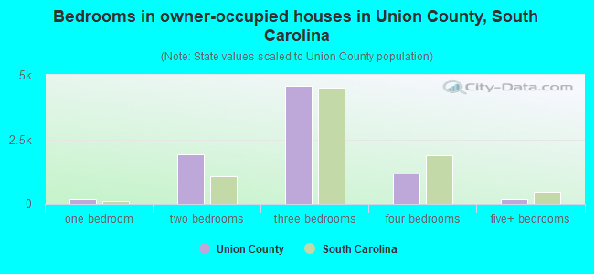 Bedrooms in owner-occupied houses in Union County, South Carolina