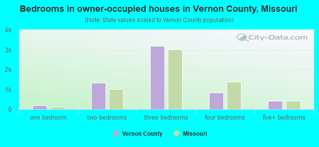Bedrooms in owner-occupied houses in Vernon County, Missouri