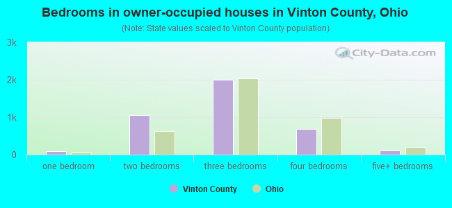 Bedrooms in owner-occupied houses in Vinton County, Ohio