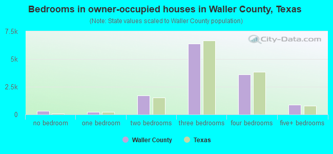 Bedrooms in owner-occupied houses in Waller County, Texas