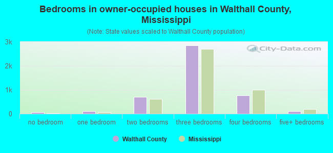 Bedrooms in owner-occupied houses in Walthall County, Mississippi