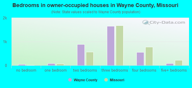 Bedrooms in owner-occupied houses in Wayne County, Missouri
