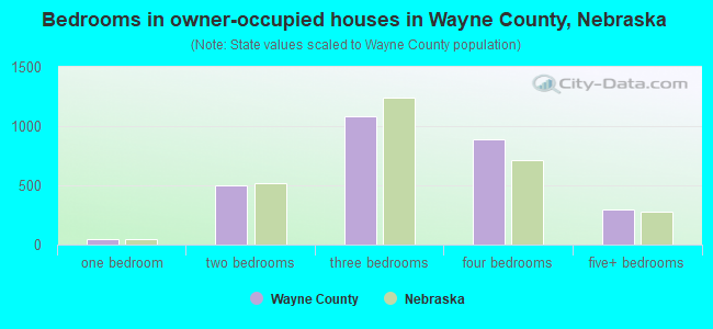 Bedrooms in owner-occupied houses in Wayne County, Nebraska