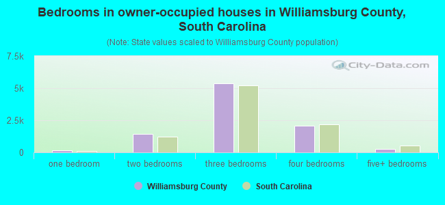 Bedrooms in owner-occupied houses in Williamsburg County, South Carolina