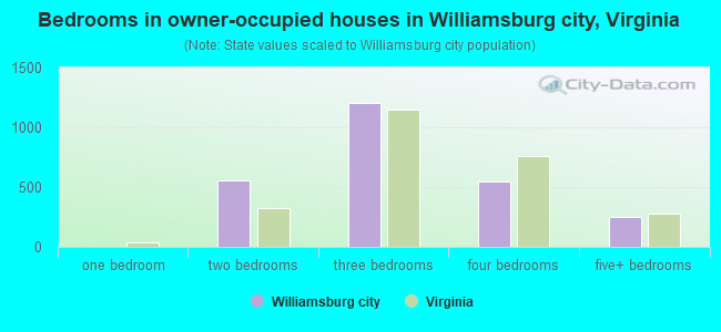Bedrooms in owner-occupied houses in Williamsburg city, Virginia
