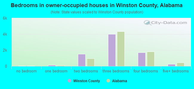 Bedrooms in owner-occupied houses in Winston County, Alabama