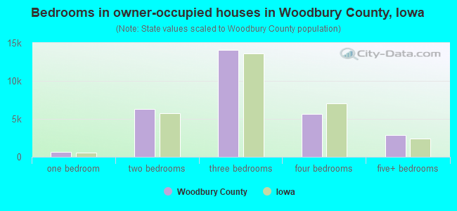 Bedrooms in owner-occupied houses in Woodbury County, Iowa