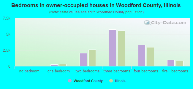 Bedrooms in owner-occupied houses in Woodford County, Illinois