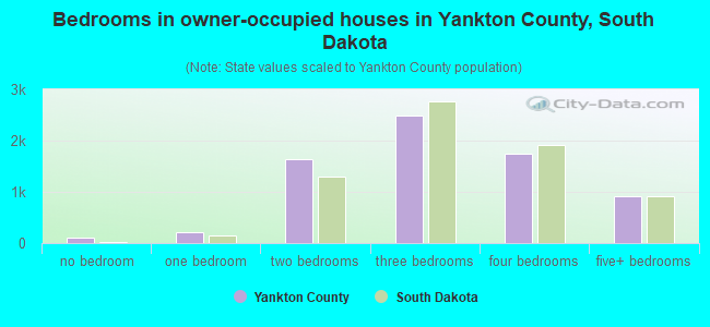 Bedrooms in owner-occupied houses in Yankton County, South Dakota