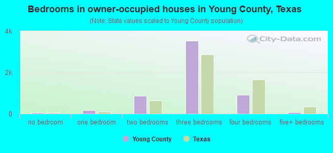 Bedrooms in owner-occupied houses in Young County, Texas
