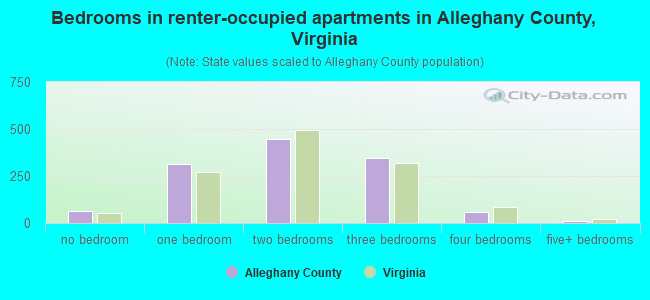 Bedrooms in renter-occupied apartments in Alleghany County, Virginia