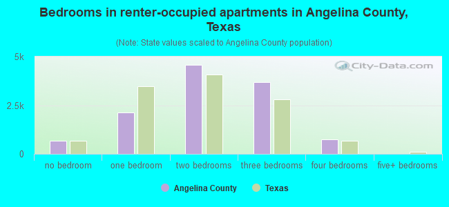 Bedrooms in renter-occupied apartments in Angelina County, Texas