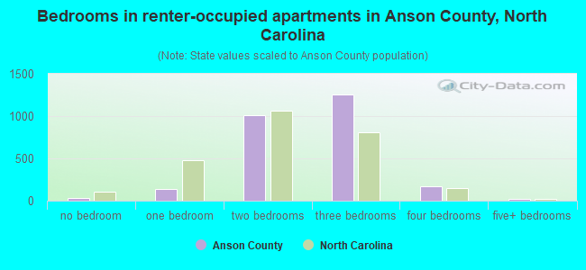 Bedrooms in renter-occupied apartments in Anson County, North Carolina