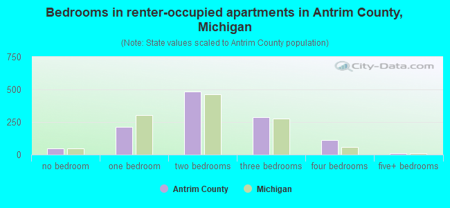 Bedrooms in renter-occupied apartments in Antrim County, Michigan