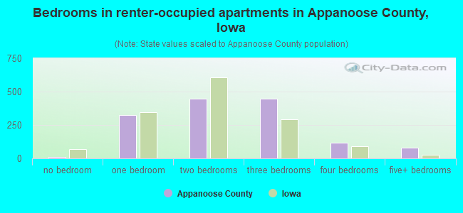 Bedrooms in renter-occupied apartments in Appanoose County, Iowa